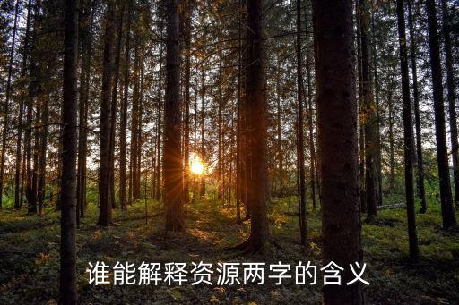資源的定義，簡述資源的概念和含義