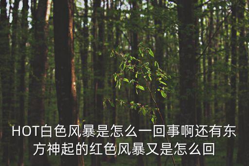 HOT白色風(fēng)暴是怎么一回事啊還有東方神起的紅色風(fēng)暴又是怎么回