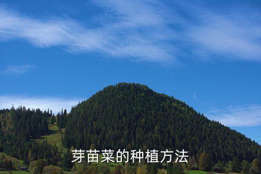 芽菜種植方法，請問怎樣種芽菜