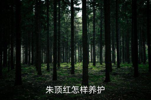 朱頂紅怎么養，朱頂紅怎樣養護