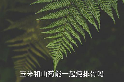 山藥排骨玉米湯，山藥玉米排骨湯的做法步驟圖怎么做好吃
