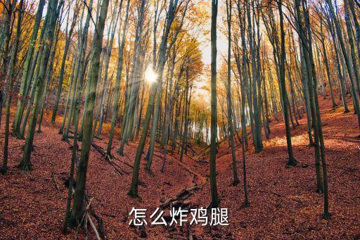 脆皮炸雞腿，又香脆的炸雞腿塊的家常做法大全怎么做好