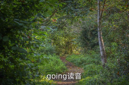 going怎么讀，going怎么讀