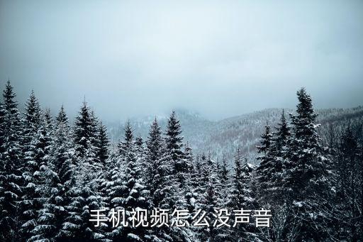 手機(jī)視頻怎么沒(méi)聲音