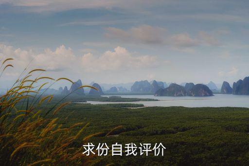 生活上的自我評價，自我評價生活總結及進步情況