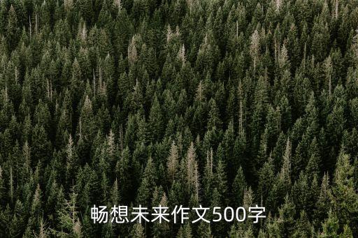 暢想未來的作文，暢想未來作文怎么寫