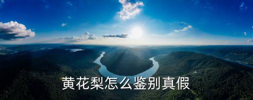 黃花梨怎么鑒別，黃花梨怎么鑒別真假
