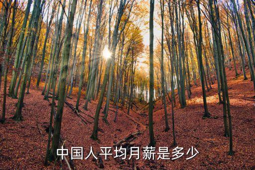 中國工資水平，中國人平均月薪是多少