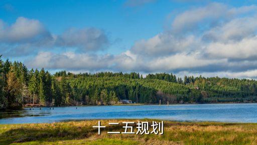 十二五規劃，十二五規劃