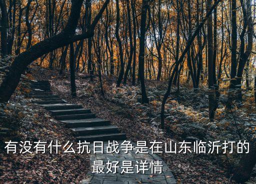 孟良崮戰役簡介，用哪個四字詞語來形容孟良崮戰役