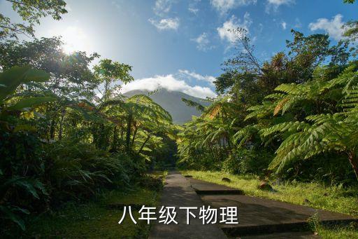 物理八年級下冊，物理八年級下知識梳理