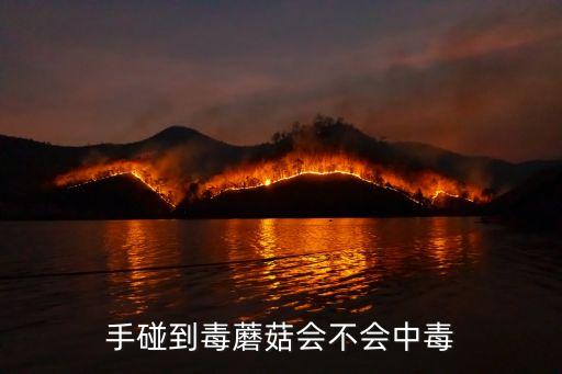 有毒蘑菇，毒蘑菇為什么不能吃