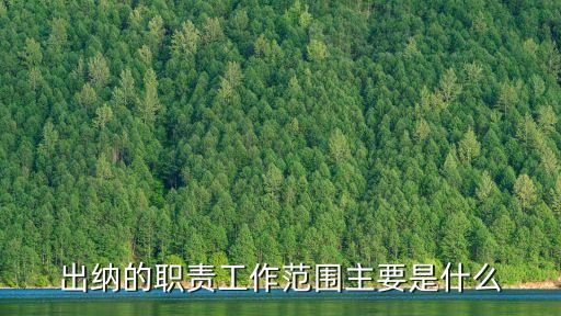 出納的職責，出納的職責工作范圍主要是什么