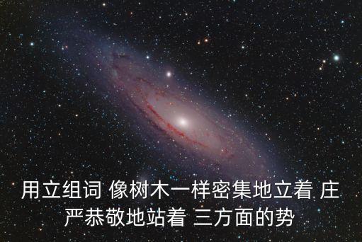 用立組詞 像樹木一樣密集地立著 莊嚴(yán)恭敬地站著 三方面的勢(shì)