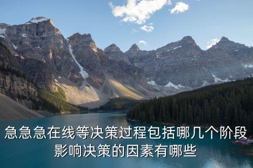 急急急在線等決策過程包括哪幾個階段影響決策的因素有哪些