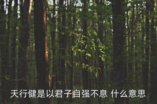 天行健是以君子自強不息 什么意思