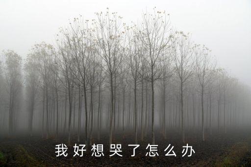 我 好 想 哭 了 怎 么 辦