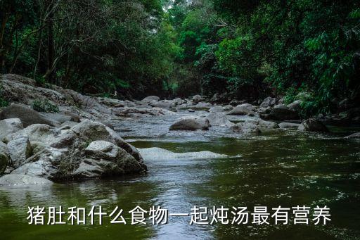 豬肚子和什么煲湯最好，豬肚跟什么煲湯味道更好