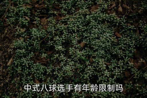 中式八球，中式八球選手有年齡限制嗎