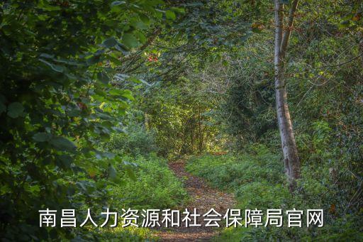 南昌社保局官網，南昌市勞動和社會保障網為什么進不去