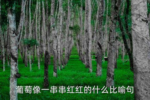 葡萄像什么比喻句，葡萄像什么