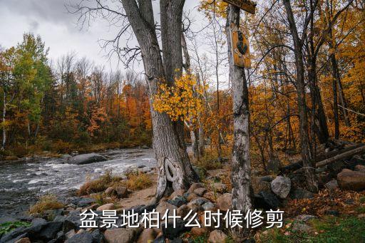 地柏盆景，地柏盆景擺客廳可以嗎