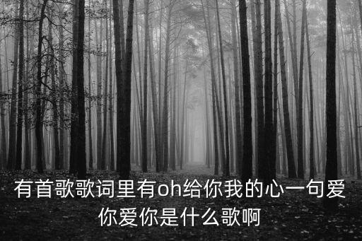 有首歌歌詞里有oh給你我的心一句愛你愛你是什么歌啊
