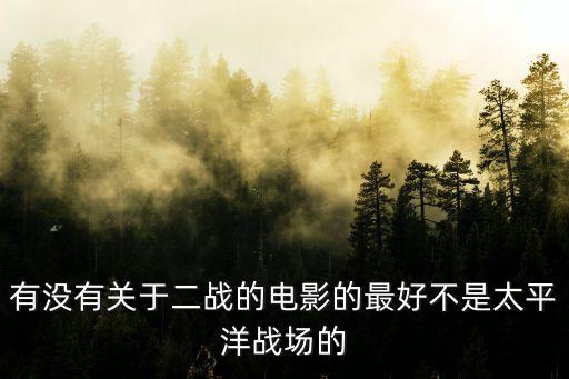 有沒有關于二戰的電影的最好不是太平洋戰場的