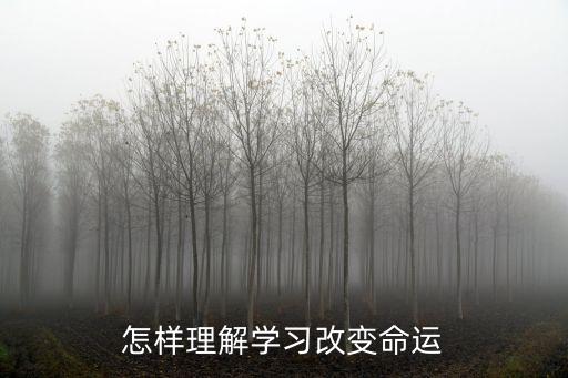 學習改變命運，學習能改變命運嗎