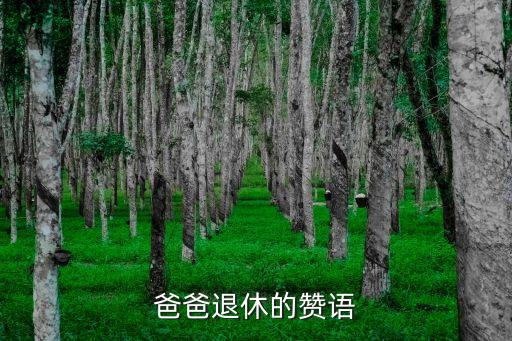 光榮退休賀詞，求老人退休敬酒詞
