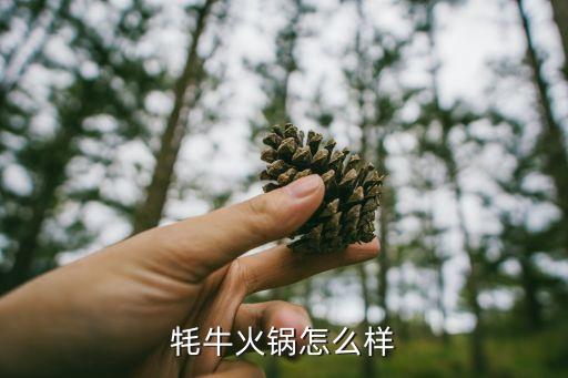 牦牛火鍋，成都做特色牦牛肉火鍋的哪家的口味最好請推薦