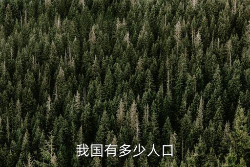 我國有多少人口