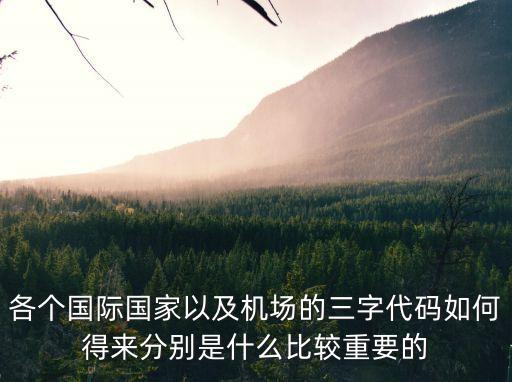 各個國際國家以及機場的三字代碼如何得來分別是什么比較重要的