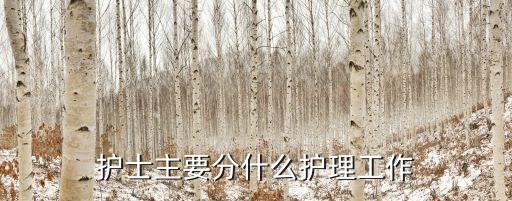 護士工作內容，護士主要分什么護理工作