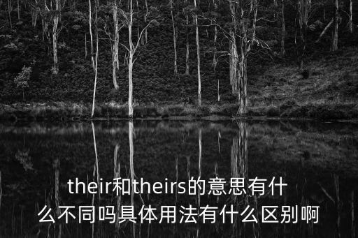 their和theirs的意思有什么不同嗎具體用法有什么區(qū)別啊