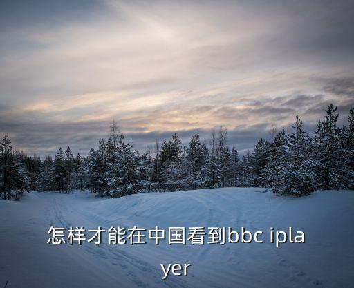 美國bbc網站，在中國能看到美國的BBCCNN嗎