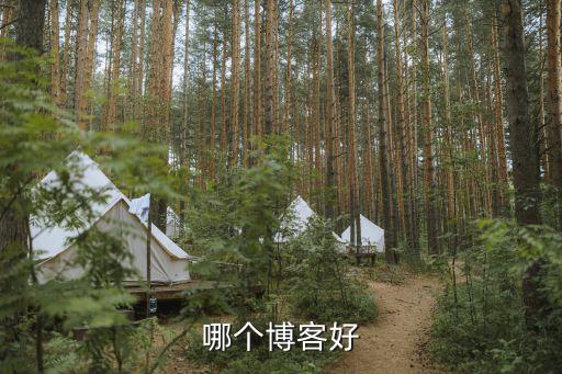 專業(yè)博客，推薦幾個博客網(wǎng)
