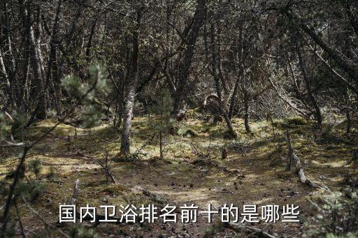 中國衛(wèi)浴十大排名，國內(nèi)衛(wèi)浴排名前十的是哪些