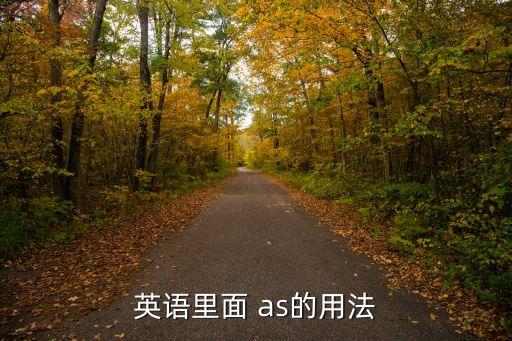 as的用法總結(jié)，英語里面 as的用法