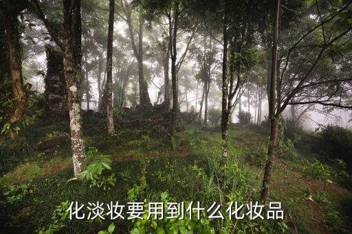 日常淡妝必備化妝品，化淡妝要用到什么化妝品