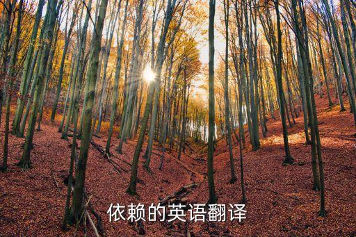 依賴的英文，依靠依賴 英文怎么說