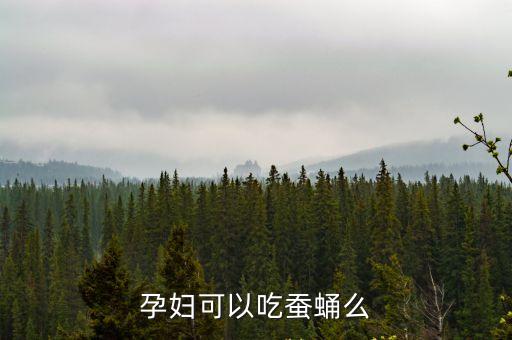 孕婦可以吃蠶蛹嗎，孕婦可以吃蠶蛹么