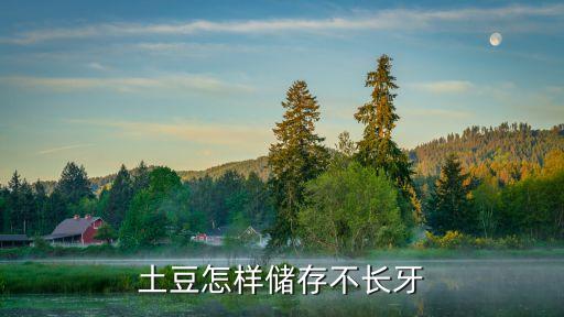 土豆怎么保存不發(fā)綠不長牙，土豆怎樣儲存不長牙