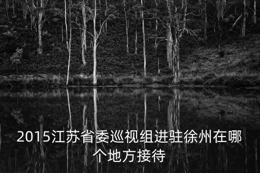 2015江蘇省委巡視組進駐徐州在哪個地方接待