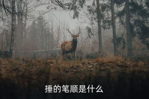 捶的筆順，求捶字的筆畫順序