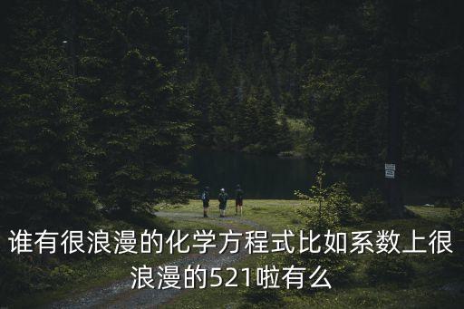 誰有很浪漫的化學方程式比如系數上很浪漫的521啦有么