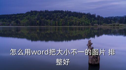 word圖片排版，word2016怎樣改圖片版式即如何靈活移動圖片