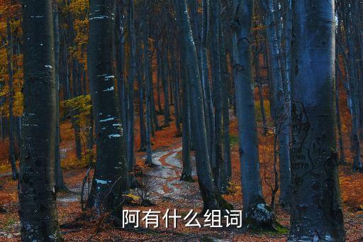 阿組詞，字共有那些組詞阿