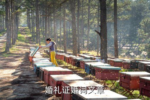有水平的證婚詞，婚禮證婚詞文章