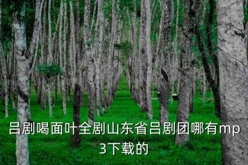 呂劇喝面葉全劇山東省呂劇團哪有mp3下載的